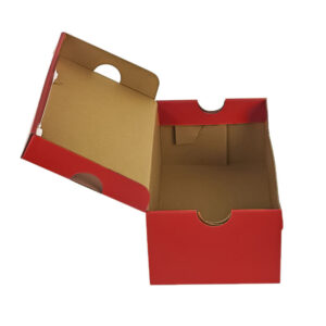 Custom Branded Cardboard Shoe Boxes